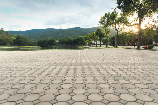 Best Driveway Paving Contractor  in Odessa, TX